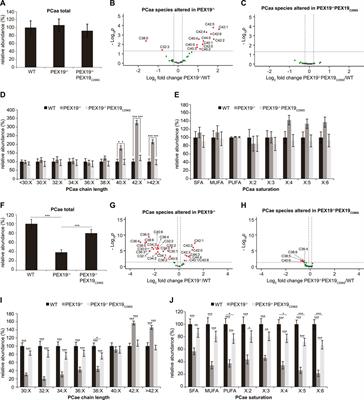 PEX19 Coordinates Neutral Lipid Storage in Cells in a Peroxisome-Independent Fashion